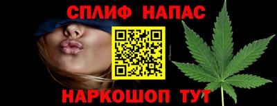 МДПВ Беслан