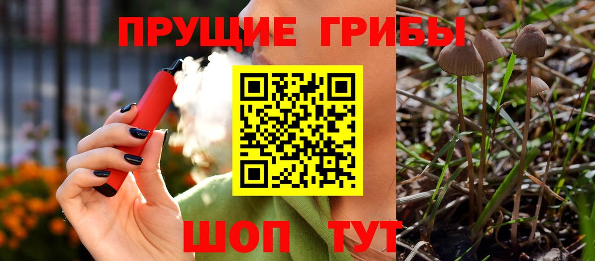 Карталы  Галлюциногенные грибы мицелий  Галлюциногенные грибы Psilocybine cubensis  Вход с VPN 