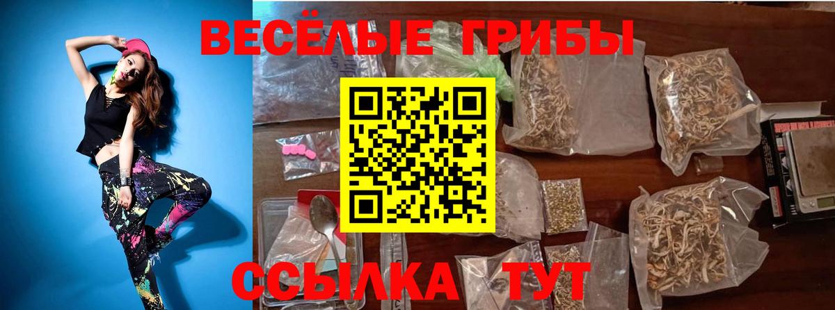 Псилоцибиновые грибы GOLDEN TEACHER Карталы